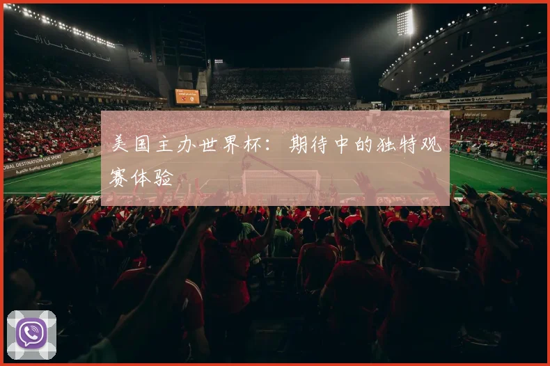 美国主办世界杯：期待中的独特观赛体验